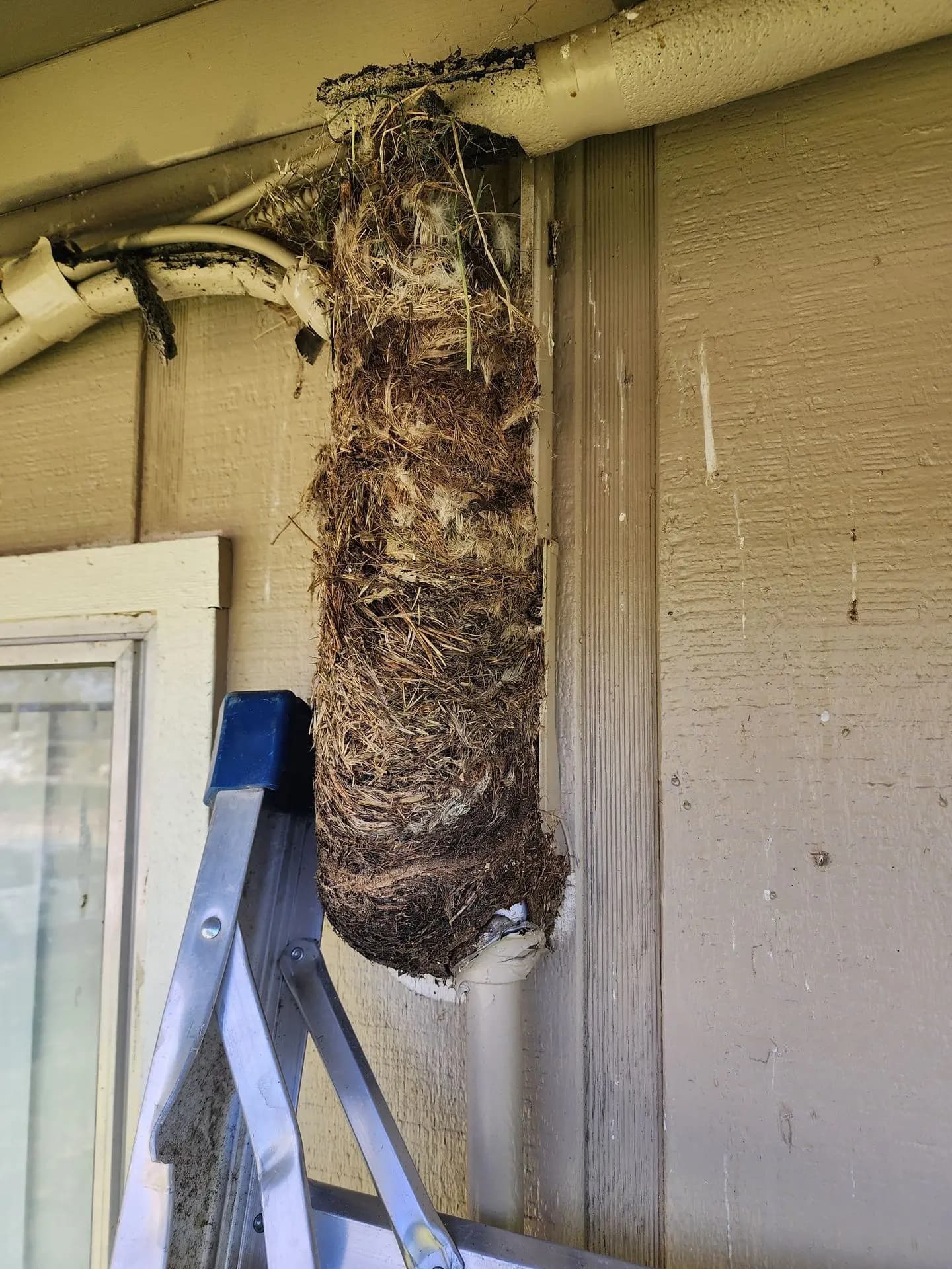 Bird nest found blocking airflow behind equipment